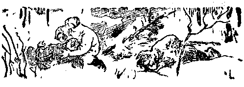 Снежный человек (илл. И. Архипова) - pic_49.png