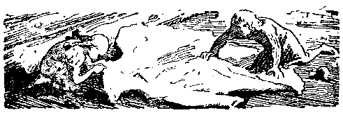 Снежный человек (илл. И. Архипова) - pic_53.png