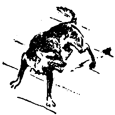 Снежный человек (илл. И. Архипова) - pic_60.png