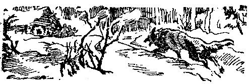 Снежный человек (илл. И. Архипова) - pic_71.png