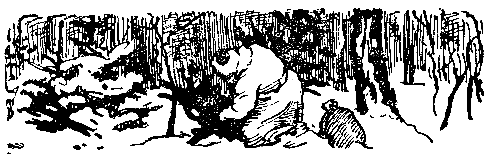 Снежный человек (илл. И. Архипова) - pic_75.png