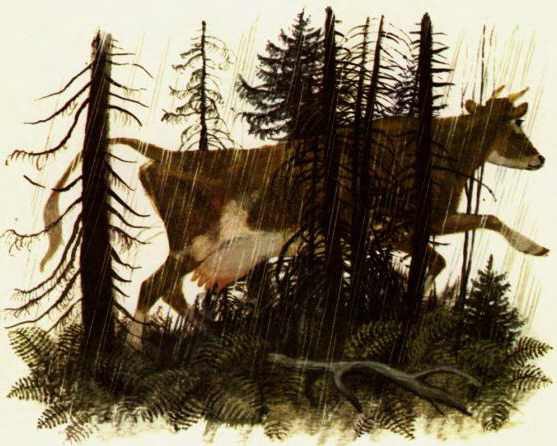 При ясном солнышке - i_024.jpg