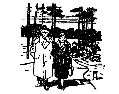 Записки следователя (сборник) - pic_26.png