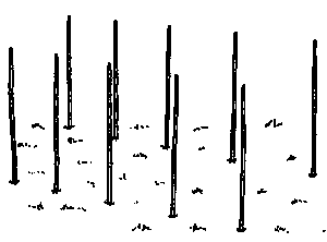 Цыгане. Тайны жизни и традиции - any2fbimgloader75.png