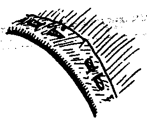 Цыгане. Тайны жизни и традиции - any2fbimgloader78.png