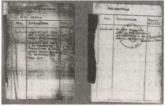 Железный крест для снайпера. Убийца со снайперской винтовкой - i_005.jpg