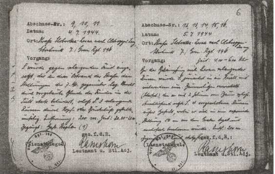 Железный крест для снайпера. Убийца со снайперской винтовкой - i_008.jpg