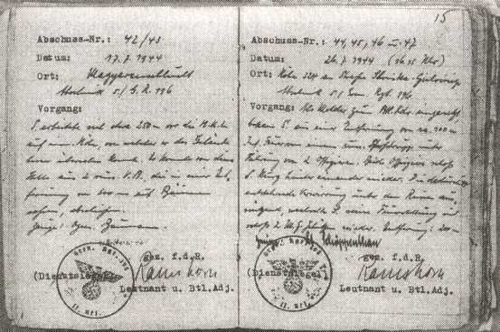 Железный крест для снайпера. Убийца со снайперской винтовкой - i_011.jpg