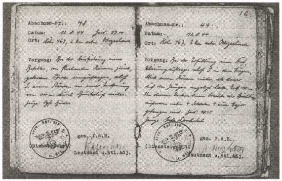 Железный крест для снайпера. Убийца со снайперской винтовкой - i_012.jpg