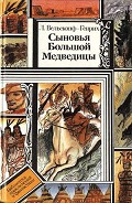 Серия книг Сыновья Большой Медведицы