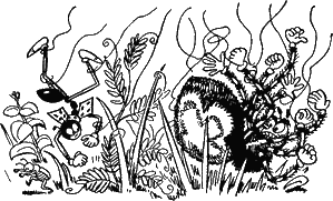 Муравьи не сдаются (с иллюстрациями) - g04.png