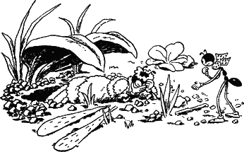 Муравьи не сдаются (с иллюстрациями) - g05.png