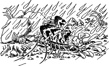 Муравьи не сдаются (с иллюстрациями) - g08.png