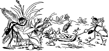 Муравьи не сдаются (с иллюстрациями) - g10.png