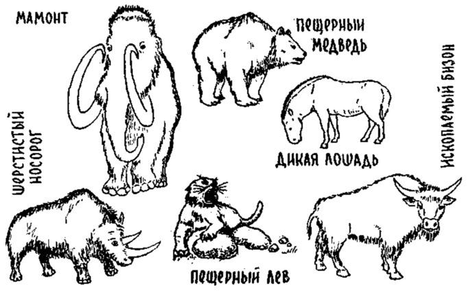 Путешествие по берегам морей, которых никто никогда не видел - i_152.jpg