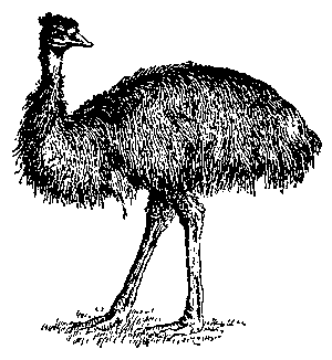 Дети капитана Гранта (худ. В. Клименко) - pic_37.png