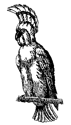 Дети капитана Гранта (худ. В. Клименко) - pic_38.png