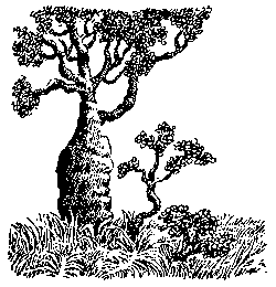 Дети капитана Гранта (худ. В. Клименко) - pic_51.png