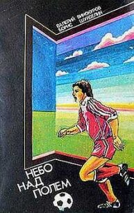 Небо над полем - Винокуров Валерий