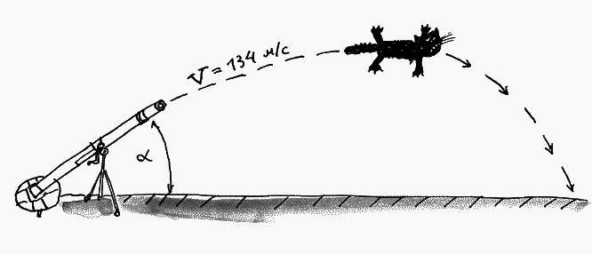 Коты, призраки и одна бабушка (сборник) - _50.png