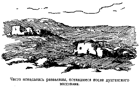 В дебрях Центральной Азии (записки кладоискателя) - pic_18.png