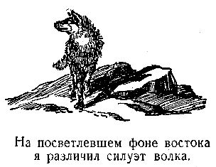 В дебрях Центральной Азии (записки кладоискателя) - pic_32.png