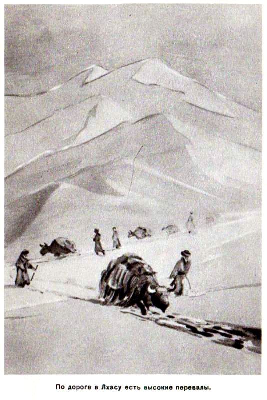В дебрях Центральной Азии (записки кладоискателя) - pic_54.jpg