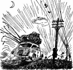 Год рыболова - pic_25.jpg