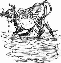 Год рыболова - pic_44.jpg