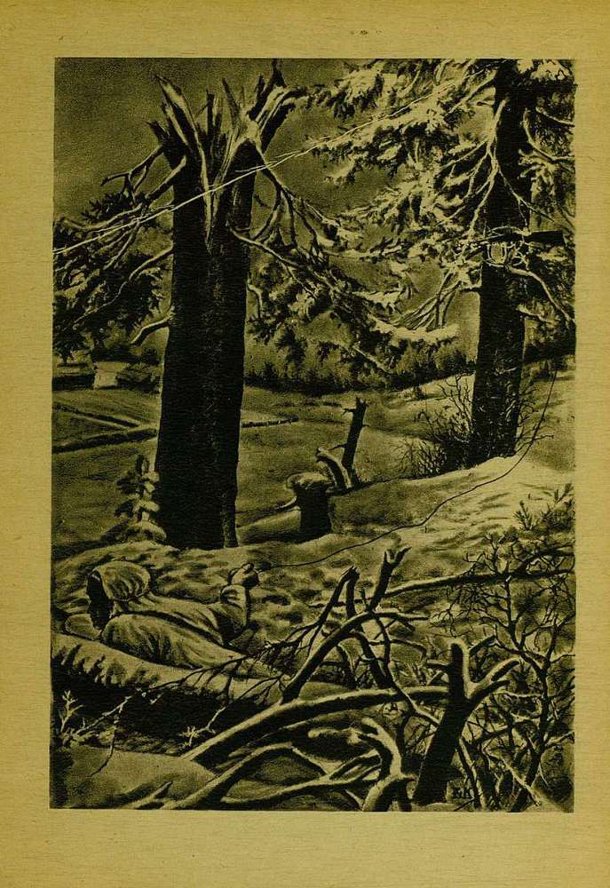 Удалой человек - pic01.JPG