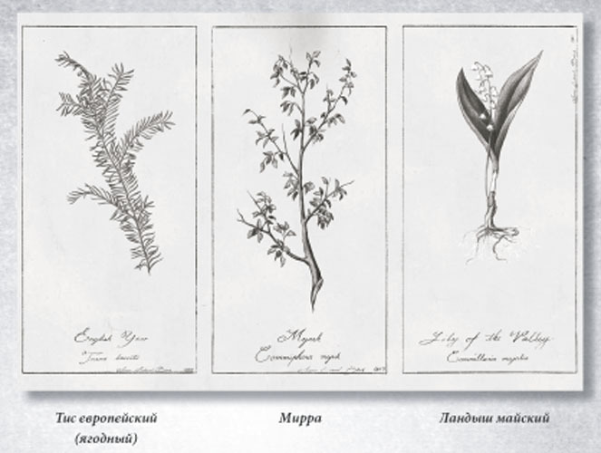 Химера - _2.jpg