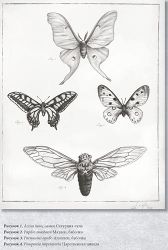 Химера - _3.jpg