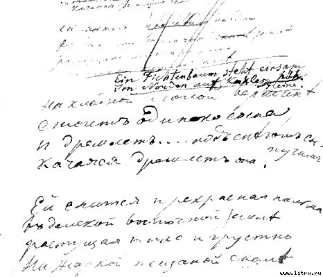 Стихотворения - sosna.jpg