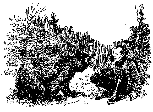 Кратер Эршота - pic_19.png