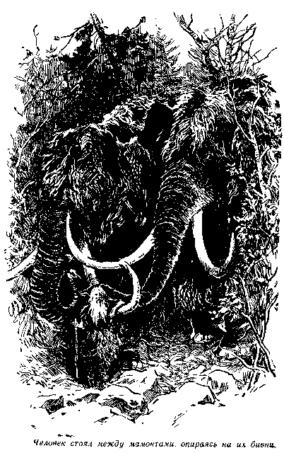 Кратер Эршота - pic_20.png