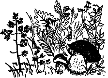 Восемь розовых динозавров - i_005.png