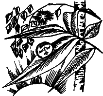 Восемь розовых динозавров - i_012.png