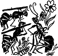 Восемь розовых динозавров - i_013.png