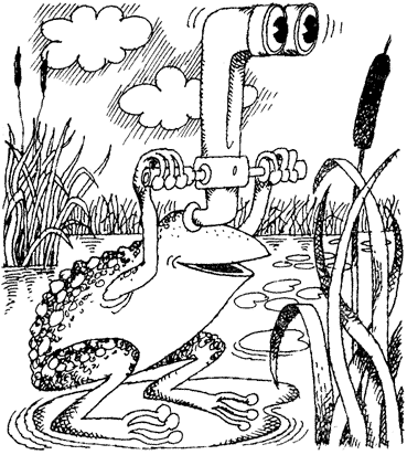 Жизнь лесных дебрей - _25.png