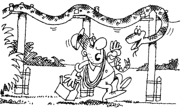 Жизнь лесных дебрей - _28.png