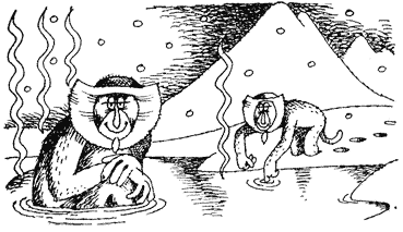 Жизнь лесных дебрей - _14.png