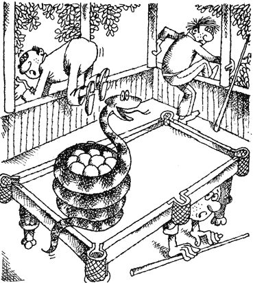 Жизнь лесных дебрей - _15.png