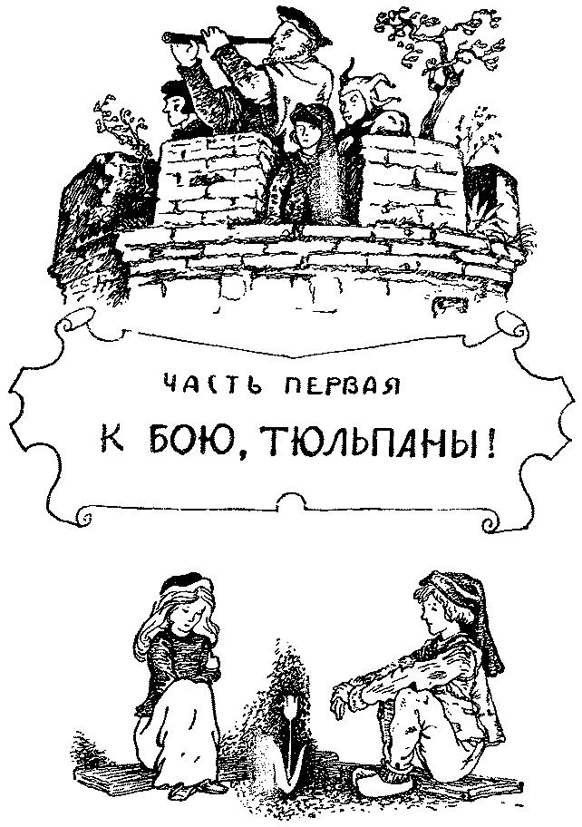 Кеес Адмирал Тюльпанов - kees007.png