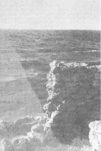 Тонущие города - i_005.jpg