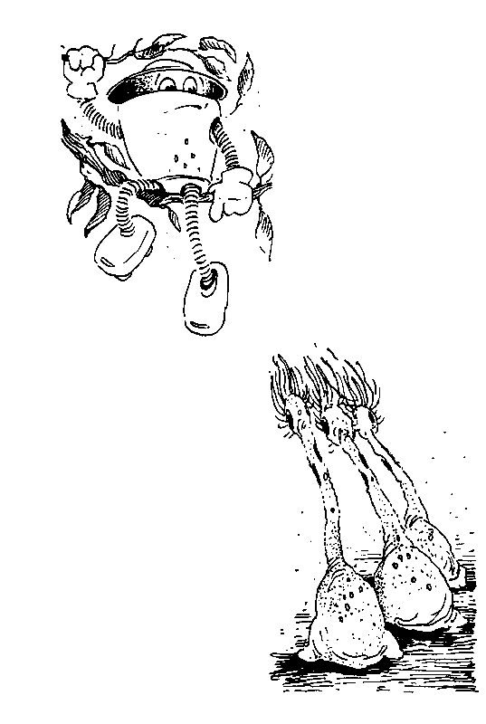 Норби и пропавшая принцесса. Норби и захватчики - pic_21.png