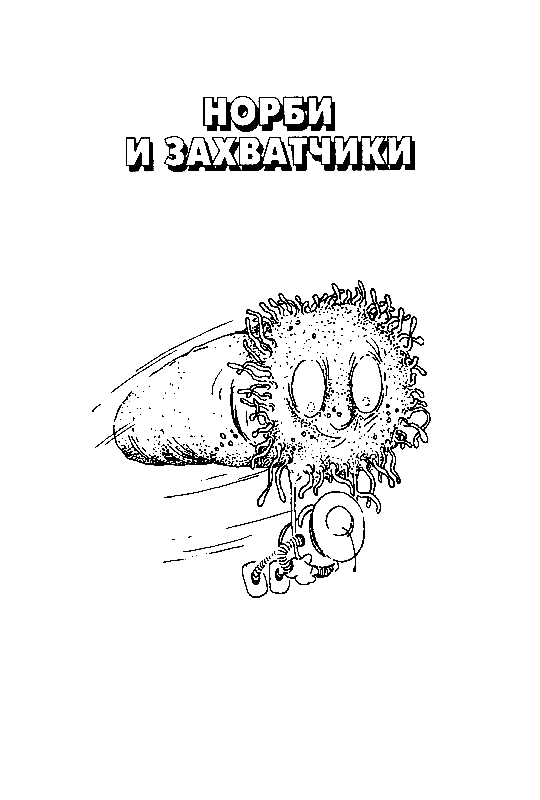 Норби и пропавшая принцесса. Норби и захватчики - pic_33.png