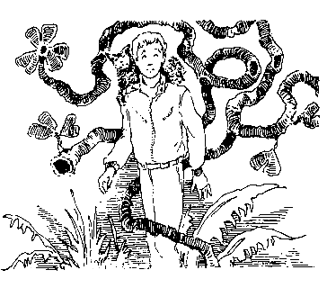 Норби и пропавшая принцесса. Норби и захватчики - pic_44.png