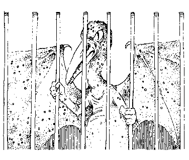 Норби и пропавшая принцесса. Норби и захватчики - pic_46.png