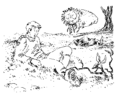 Норби и пропавшая принцесса. Норби и захватчики - pic_51.png