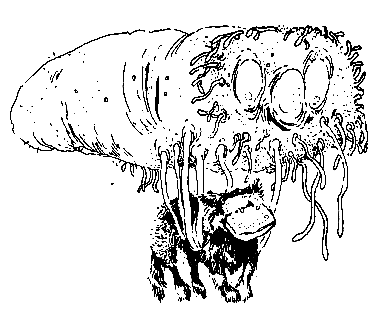 Норби и пропавшая принцесса. Норби и захватчики - pic_57.png